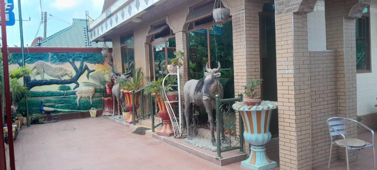 New Africa One - Image 3